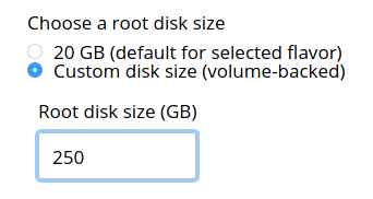 A screenshot showing the custom root disk size option. "Custom disk size (volume-backed)" is selected, and a custom size of 250 GB is entered