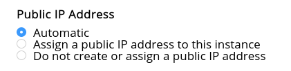 A screenshot of the "Public IP Address" radio options. "Automatic" is selected.