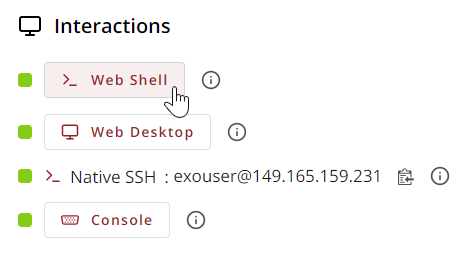 Select Web Shell from instance details page